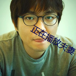 正在(在)播(播)放夫妻(妻)