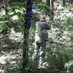 全球神時代