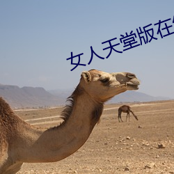 女人天堂版在線www