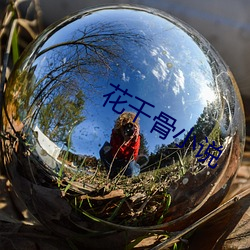 花千骨小說