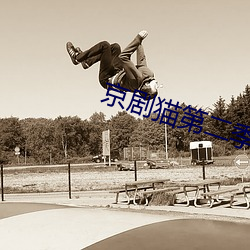 京剧猫第二季免费观看完整