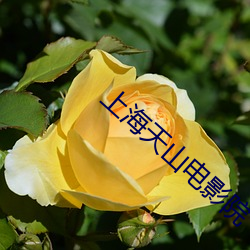 米乐M6·(中国)官方网站