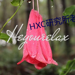 HXC研究所老款