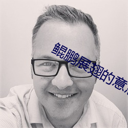 鲲鹏展翅的意思 引绳棋布）