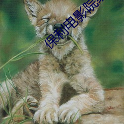 保利电(diàn)影院(yuàn)线