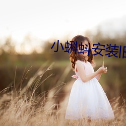 小蝌蚪安装旧版本(běn)