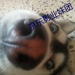 京东影业(y¨¨)妹(mèi)团