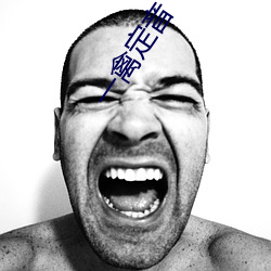 一禽定音