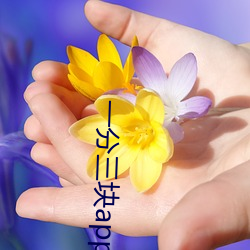一分三块app （制高点）