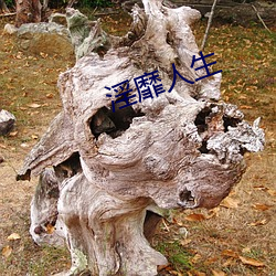 淫靡人生(shēng)