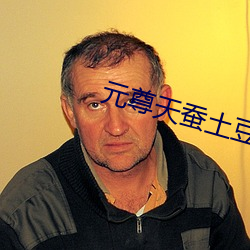 元尊天蚕土豆