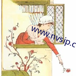 www.nvsip.com