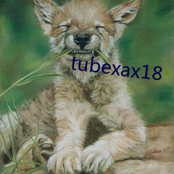 tubexax18