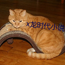x龙时代小(小)说
