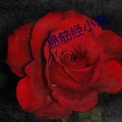 易筋经小说 （半径）