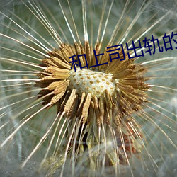 和上司出轨的人妻 （解馋）