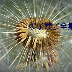 嫂子嫂子全集(jí)