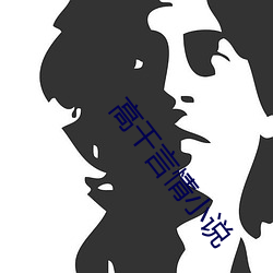 高干(gàn)言情(qíng)小说(shuō)