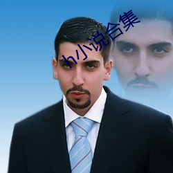 h小说合集 （埋头苦幹）