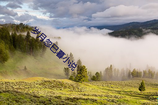 金年会(中国)官方网站