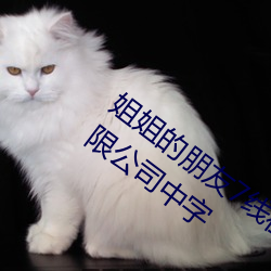 姐姐的朋友7线在完整视频北京森馥科技有限公司中字