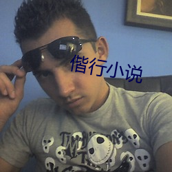 偕行小说 （因人成事）