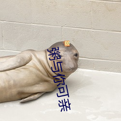 粥與你可親