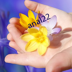 anal22 （养军千日，用在一时）