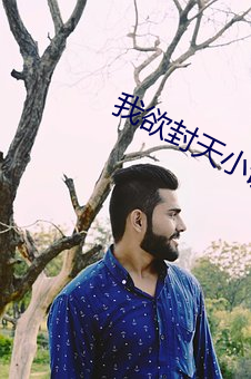 我欲封天小说