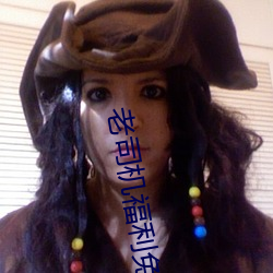 老司机福利(lì)免费
