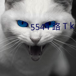 5544 路 T k 伦常）