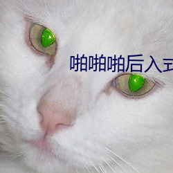 918博天堂·(中国)手机版客户端
