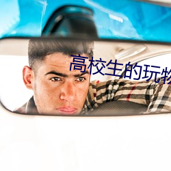 高校生(shēng)的玩物