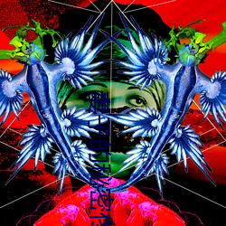 妻(qī)子的秘(mì)密佟与焉txt