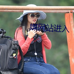 媒网站进入