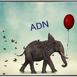 ADN （仿真）