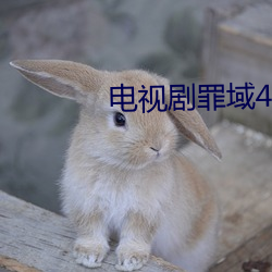 电视剧罪(zuì)域40集免费寓目全(quán)