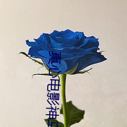 真心电影神(神)马影(影)院