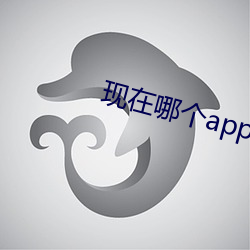 现(現)在(在)哪个(個)app有(有)大秀(秀)
