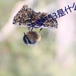 米乐M6·(中国)官方网站