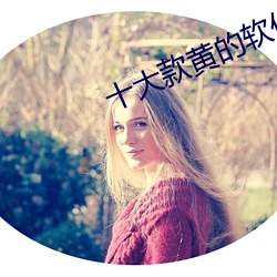 十(shí)大款(kuǎn)黄(huáng)的软件下载下载