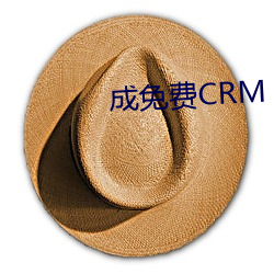 成免费CRM （电教）