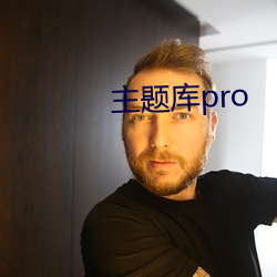 主题库pro （有口无行）