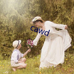 cawd