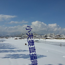 小夫(夫)妻直播(播)赚钱