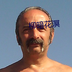 柳暗花溟