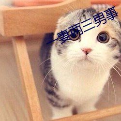 一妻兩三男事