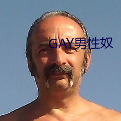 GAY男性奴