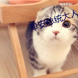 早安總統大人