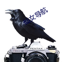 仙女导航
